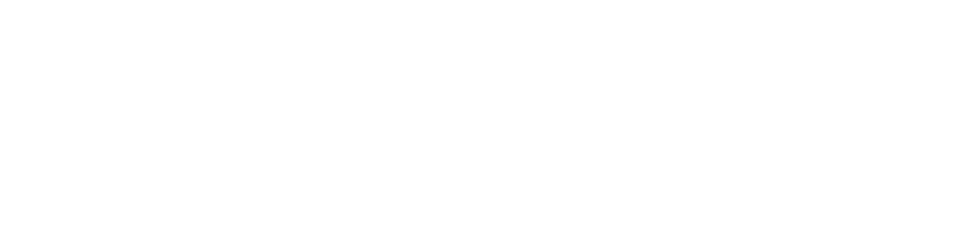 Secondary logo · raster